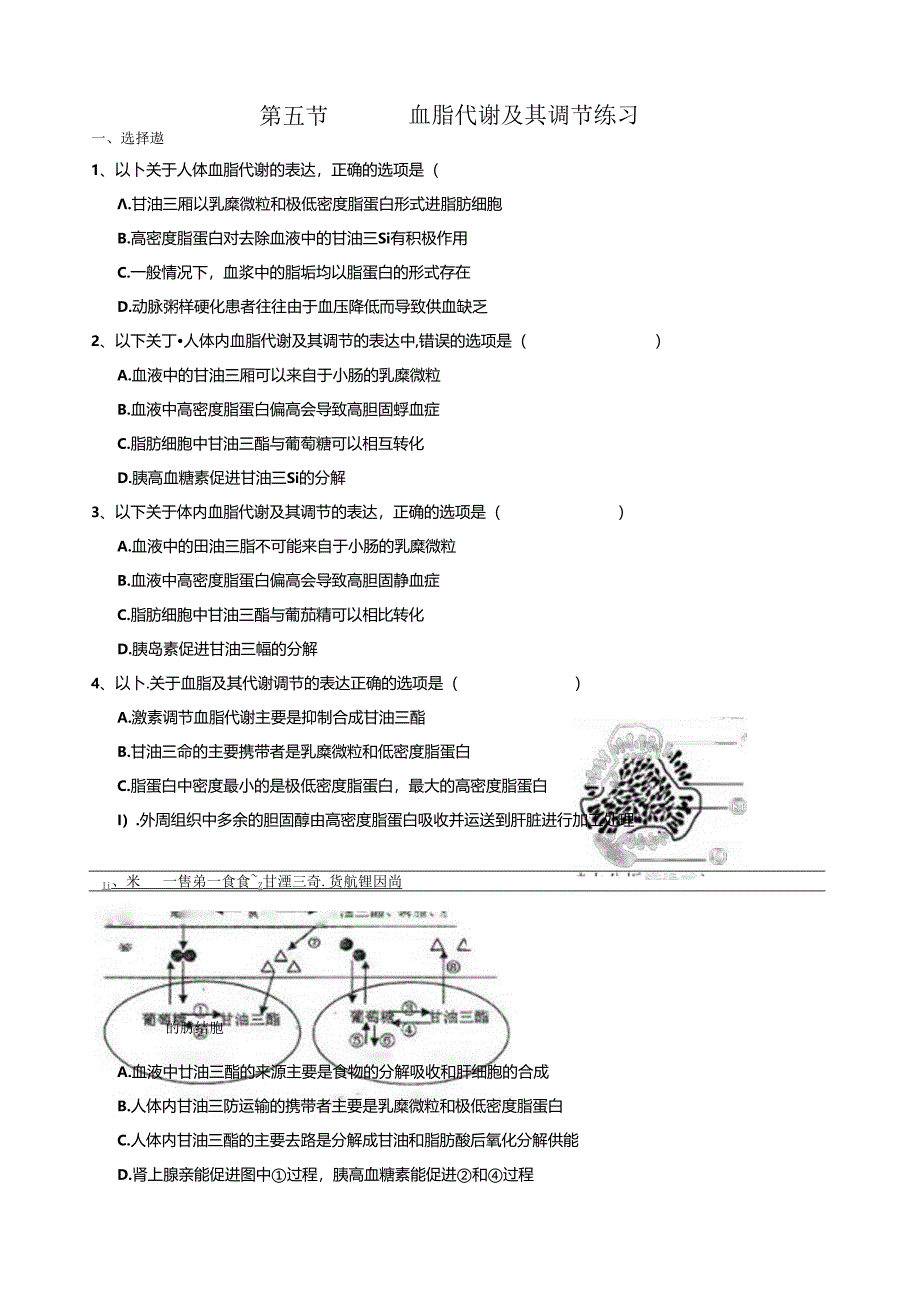 第五节------血脂代谢及其调节练习.docx_第1页