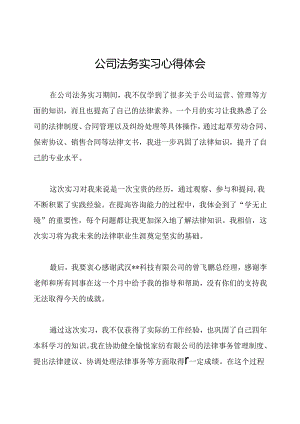 公司法务实习心得体会.docx