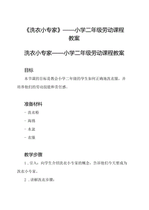 《洗衣小专家》——小学二年级劳动课程教案.docx