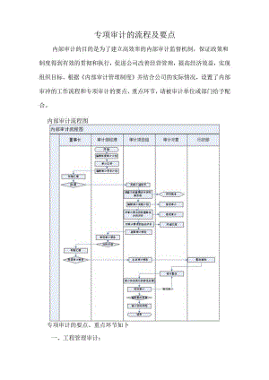 专项审计的流程及要点.docx