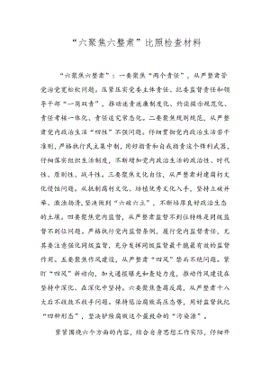 六聚焦六整肃对照检查材料.docx