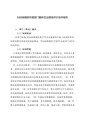 妇幼保健院年度部门整体支出绩效评价自评报告.docx