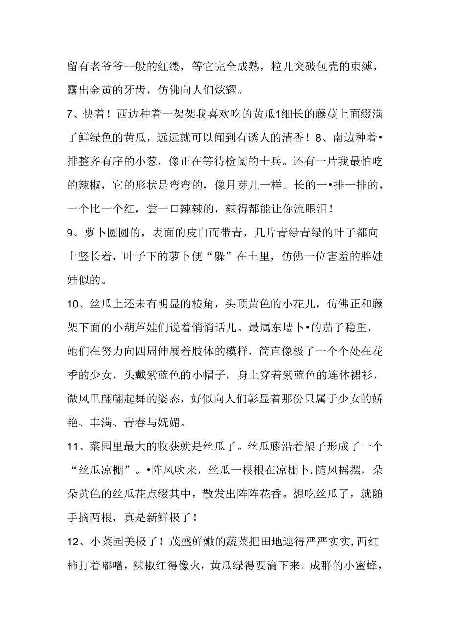 描写夏天菜地的优美句子.docx_第2页