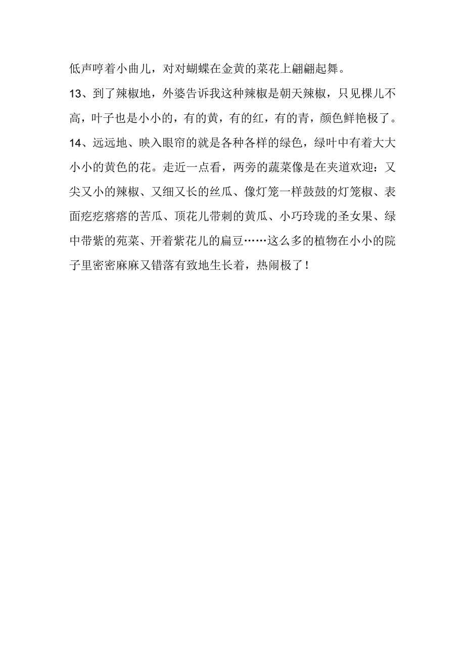 描写夏天菜地的优美句子.docx_第3页