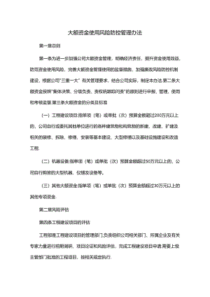 大额资金使用风险防控管理办法.docx