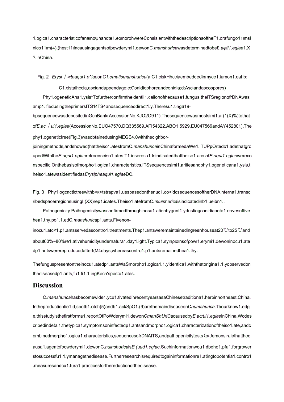 Morphological and molecular identification of Powdery Mildew of Clematis manshurica Caused by Erysiphe aquilegiae in China.docx_第3页