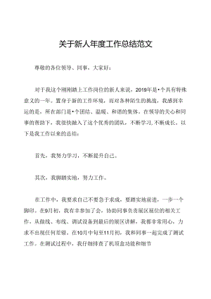关于新人年度工作总结范文.docx