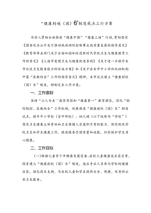 健康副校（园）长制度试点工作方案.docx