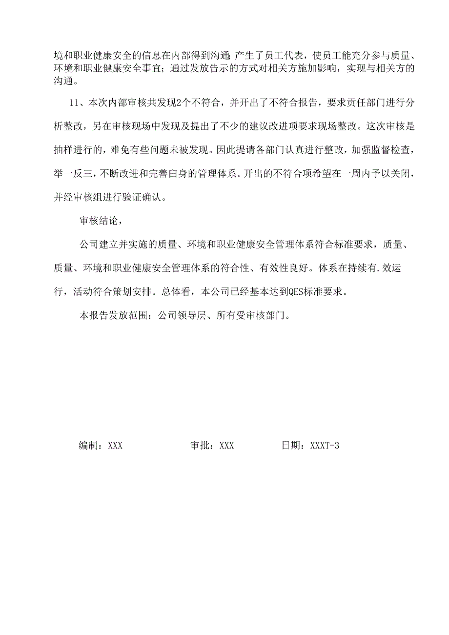 内部审核报告.docx_第3页