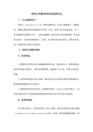 铁死亡的基本特征及检测方法.docx