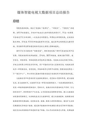 媒体智能电视大数据总结报告.docx