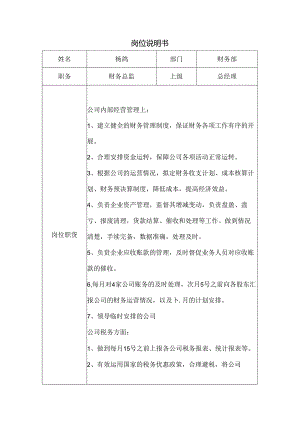 财务总监岗位说明书.docx