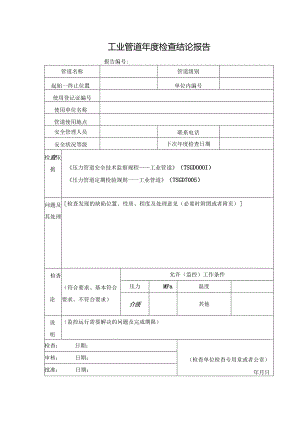 工业管道年度检查结论报告.docx
