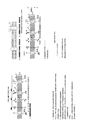 细胞的物质输入与输出细胞单元测试.docx