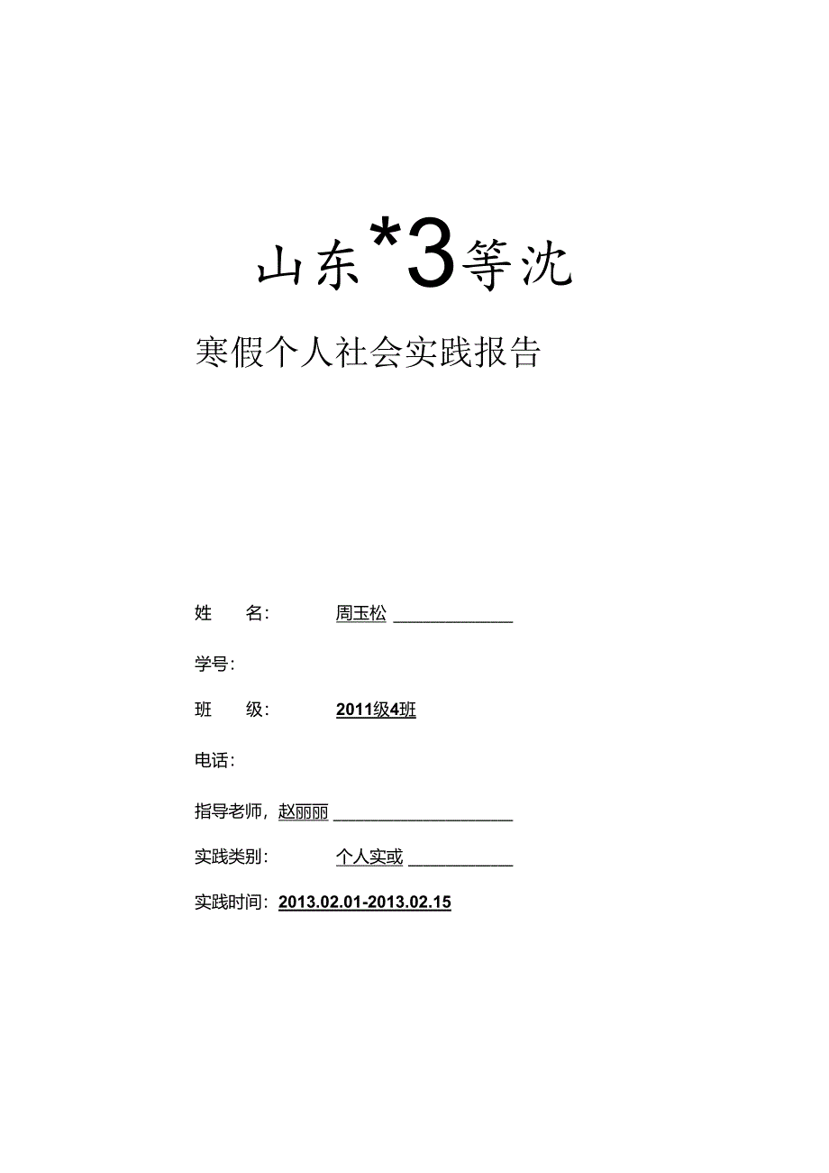 美丽中国春节习俗实践报告.docx_第1页