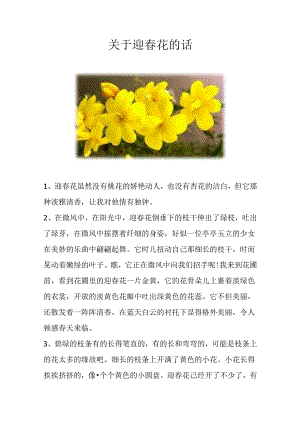 关于迎春花的话.docx