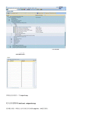 SAP_FI_SAPParallelAccounting平行分类账配置与操作.docx