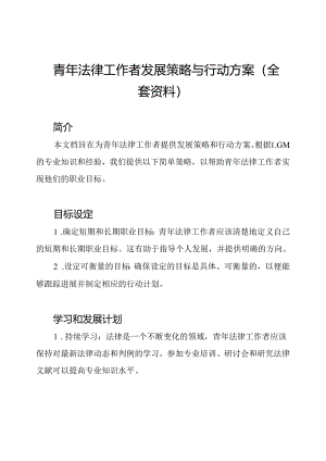 青年法律工作者发展策略与行动方案（全套资料）.docx