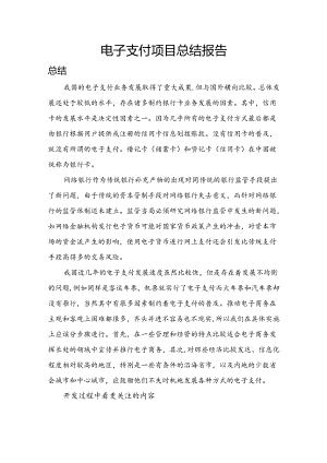 电子支付大数据总结报告.docx