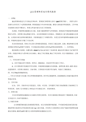 QES管理体系运行情况报告.docx