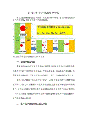 正极材料生产现场异物管控.docx