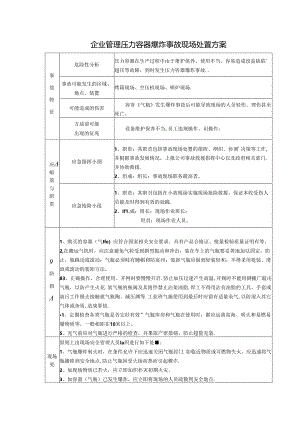 企业管理压力容器爆炸事故现场处置方案.docx