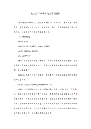安全生产标准化民主管理机构.docx