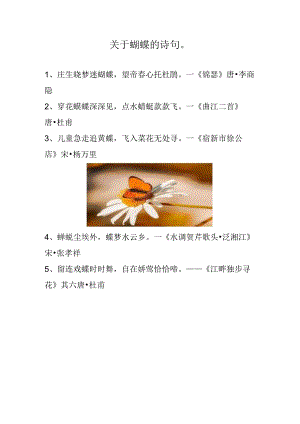 关于蝴蝶的诗句.docx