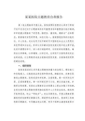 某某医院主题教育自查报告.docx