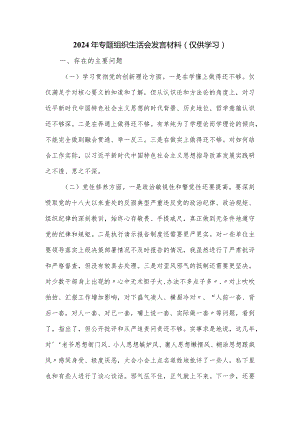 2024年专题组织生活会发言材料.docx