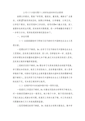 公司六个方面问题个人剖析检查材料发言提纲.docx