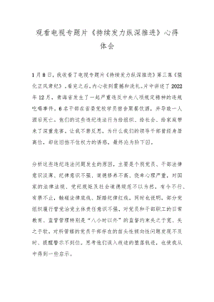 观看电视专题片《持续发力纵深推进》心得体会.docx