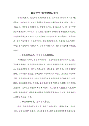 教育检视问题整改情况报告.docx