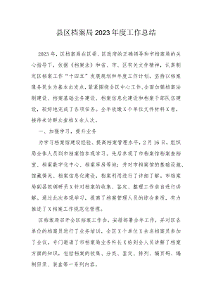 县区档案局2023年度工作总结.docx