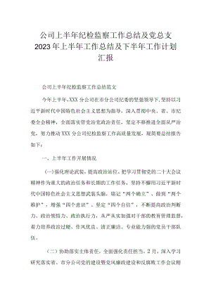 公司上半年纪检监察工作总结及党总支2023年上半年工作总结及下半年工作计划汇报.docx