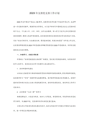 202X年支部党支部工作计划.docx