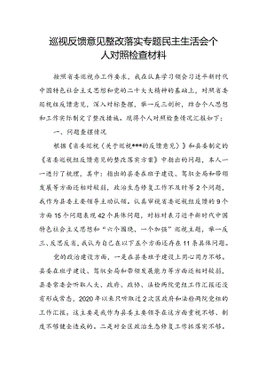 巡视反馈意见整改落实专题民主生活会个人对照检查材料.docx