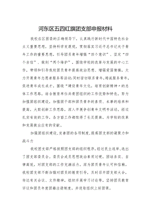 河东区五四红旗团支部申报材料.docx