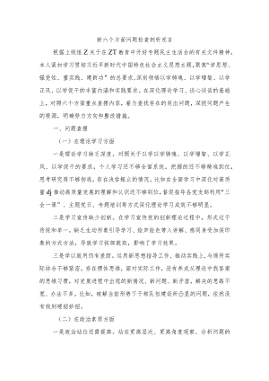 新六个方面问题检查剖析发言.docx