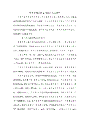 城市管理系统法治行政执法调研.docx