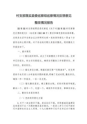 村支部落实县委巡察组巡察情况反馈意见整改情况报告.docx