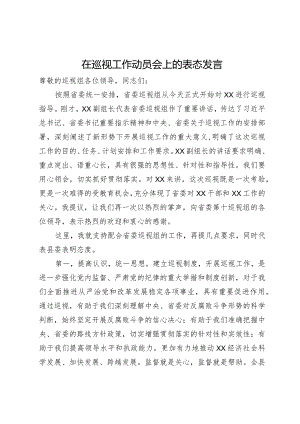 在巡视工作动员会上的表态发言.docx