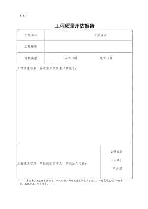 评估报告.docx