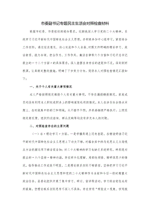 市委副书记专题民主生活会对照检查材料.docx