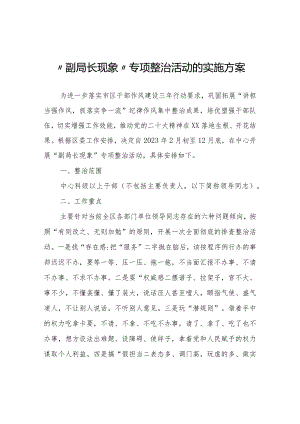 “副局长现象”专项整治活动的实施方案.docx