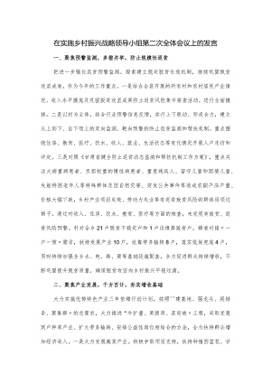 在实施乡村振兴战略领导小组第二次全体会议上的发言.docx