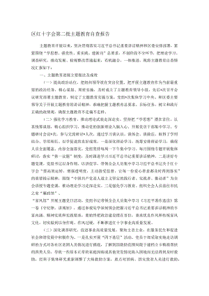 区红十字会第二批主题教育自查报告.docx