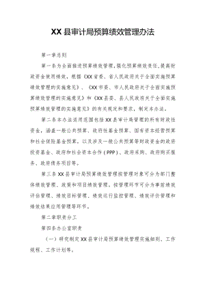 XX县审计局预算绩效管理办法.docx