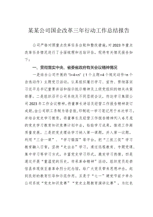 某某公司国企改革三年行动工作总结报告.docx