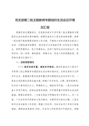 党支部第二批主题教育专题组织生活会召开情况汇报.docx